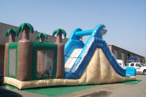 Inflatable Interactive Games dolphin paradise slide jump